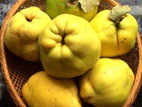 Quince jelly