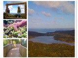 The Arataki Visitor Centre in the Waitakere Ranges