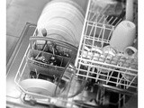 The Dishwasher