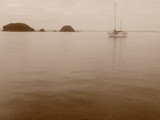 Three days sailing in Waiheke with Timetama