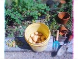 Tiny potatoes from the garden