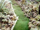 Un giro nella mia foresta