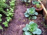 Wet gardening