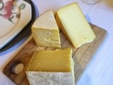 Wonderful Italian cheese in New Zealand