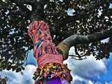 Yarn Bombs in Glen Eden