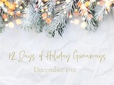 12 Days of Holiday Giveaways: Day 6