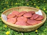 Colourfully healthy beet cookies, a visit to corbett's land and bird watching