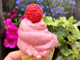 Healthy Raspberry Frozen Yogurt (Only 3 Ingredients!)