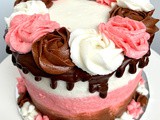 Neapolitan Cake