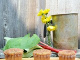 Rhubarb Muffins