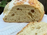 Same Day Sourdough Bread