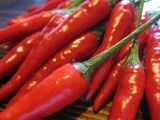 Fermented Hot Sauce: Part 1