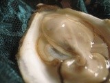 Oyster Obsession Part 1: Raw