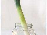 How to regrow leek? This is how you do it