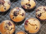 Blueberry Polenta Cupcakes