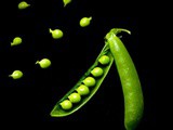 Cooking sugar snap peas