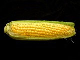 Cooking summer corn