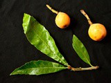 Japanese biwa – loquat fruit