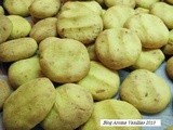 Καλαμπόκι + παρμεζάνα = μπισκότα αλμυρά και λαχταριστά