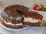 Torta pinguino cocco e nutella