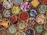 10 Healthiest Herbs and Spices for College Students to Boost Appetite