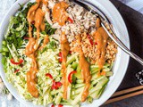 Asian Cabbage Salad with Chicken and Peanut Dressing {gf, df}