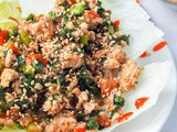 Asian Chicken Lettuce Wraps {gf, df, 30 min}
