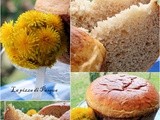 Quanti modi di fare e rifare: la pizza di Pasqua a lievitazione naturale