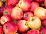 Apple Calories And Nutrition