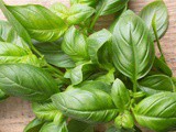 Basil Substitute