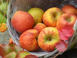 Best Apples For Apple Crisp