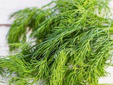 Dill Substitute