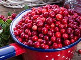 Lingonberry Jam Substitute