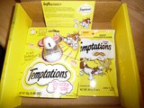 Temptations Snacky Mouse Cat Toy