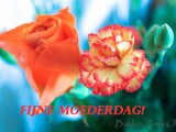 Fijne moederdag