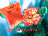 Fijne moederdag