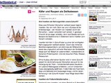 Der Standard.at