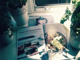 Dm-Magazin