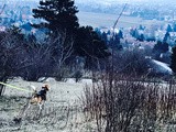 Spaziergang in Wien Umgebung