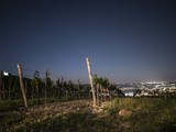 Unterwegs in Wien: Ausg’steckt is