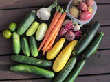 Why We're Not Joining a csa this Year