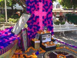 Celebrating Dia de Los Muertos in Puerto Vallarta