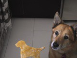 Pumpkin Peanut Butter Dog Treats