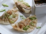 Vegetable Ginger Pot Stickers