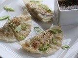 Vegetable Ginger Pot Stickers