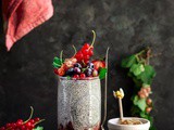 Strawberry Rhubarb Chia Pudding