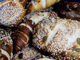 Laugengebäck mit Körnertopping – selbstgebacken am allerbesten