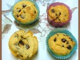 Chocolate Chip Cupcakes - Margaret Stewart