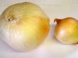 Mommy and Baby Onion Converse
