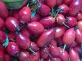 Rosehip Jelly